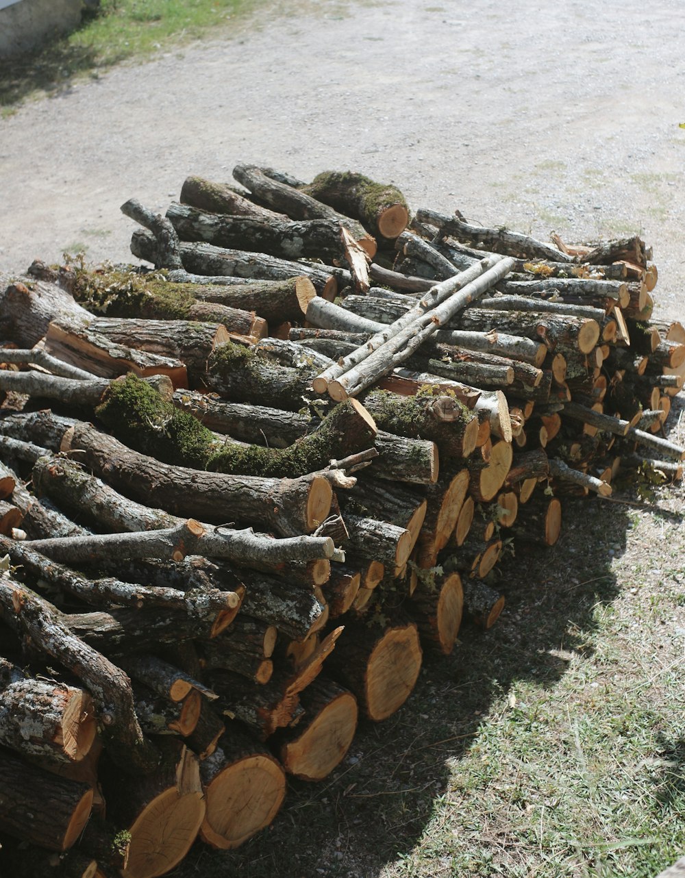 a pile of logs sitting on top of a grass covered field