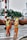 Two workers wearing orange safety suits and yellow helmets are on the road. One is holding a broom and appears to be sweeping, while the other holds a wand or baton. They both wear green reflective vests. There are vehicles and green foliage in the background.