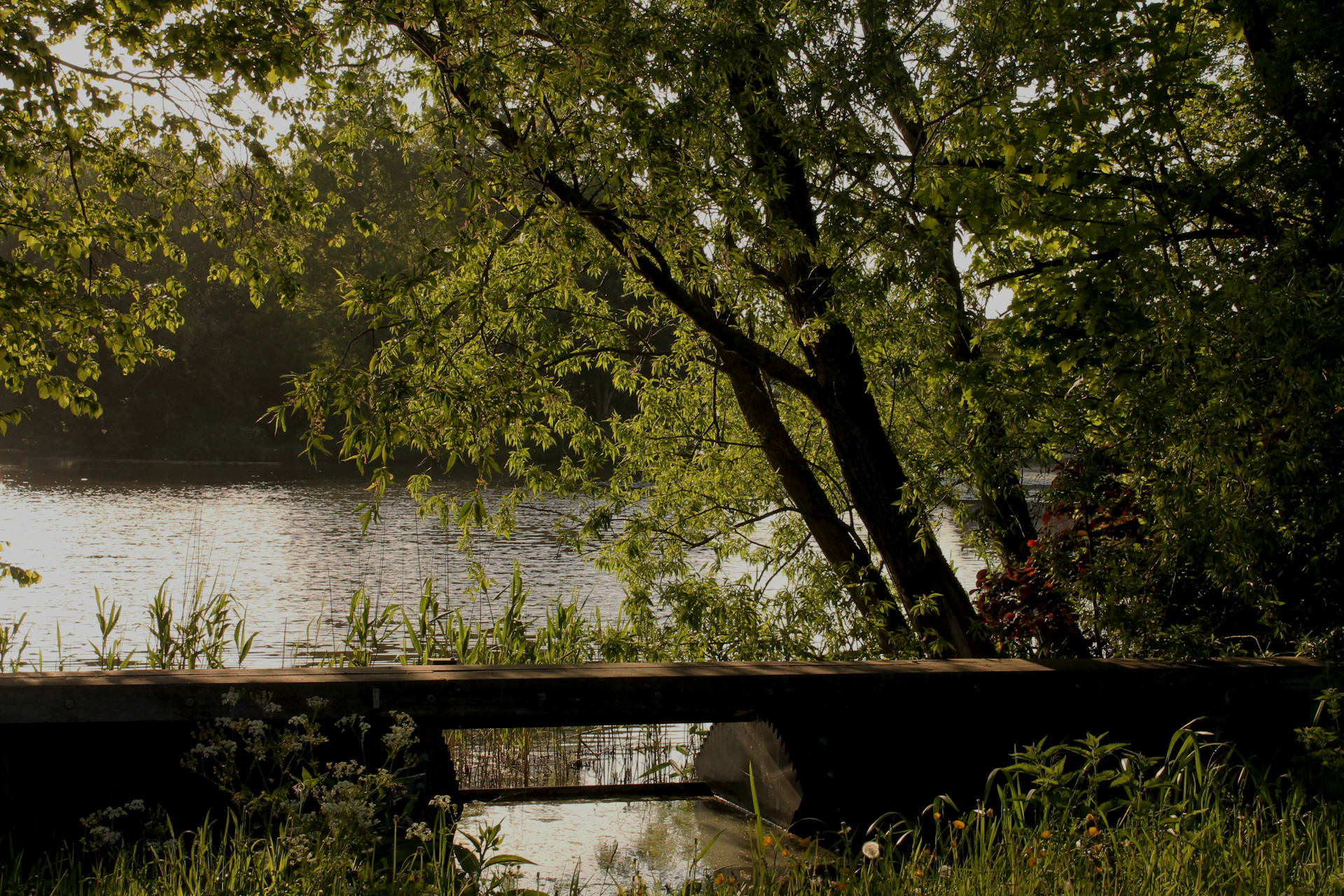 gray computer monitor