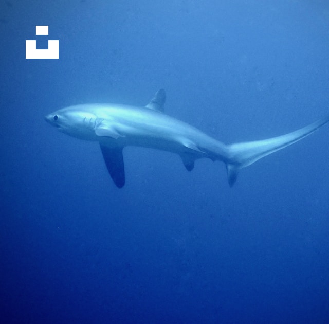 UnsplashのClaus Gieringが撮影した写真