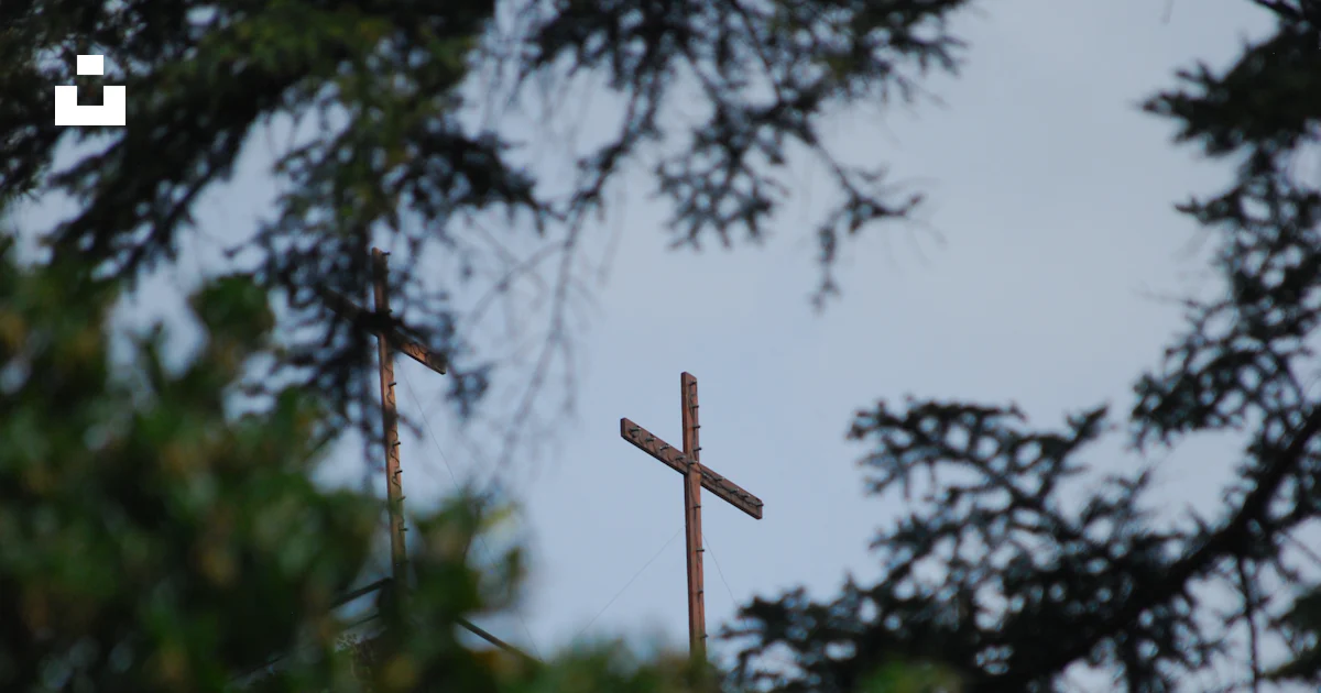 Tree Vs Cross A cross is seen through the branches of a tree photo – Free Forest ...
