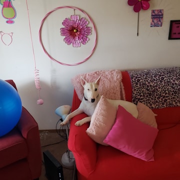 A white bull terrier is comfortably resting on a vibrant red couch, surrounded by a variety of pink and leopard-print pillows. The walls are decorated with playful elements, including a large pink flower wall art, a flower-shaped wall decor, and a coiled pink cord. A blue exercise ball is partially visible, adding a touch of color contrast to the cozy, decorative setting.