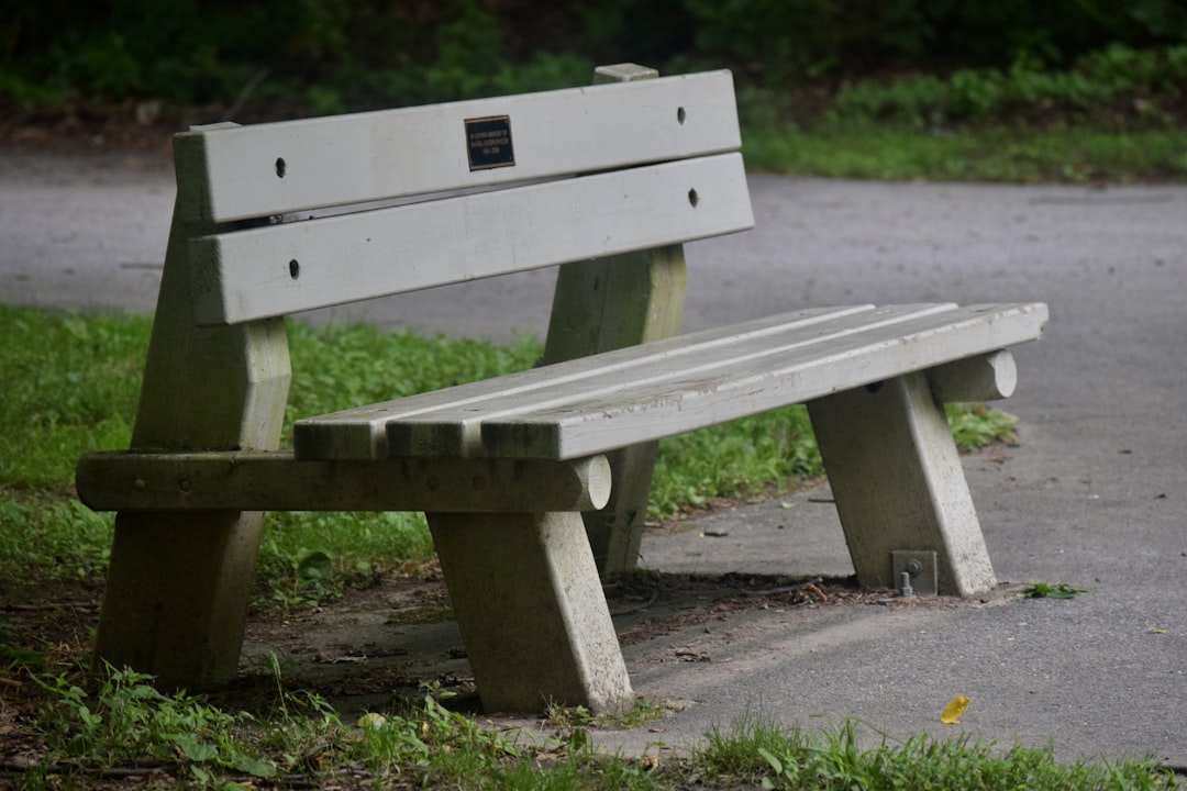 a wooden bench sitting on the side of a road, Another bench at Brandywine Creek State Park.
