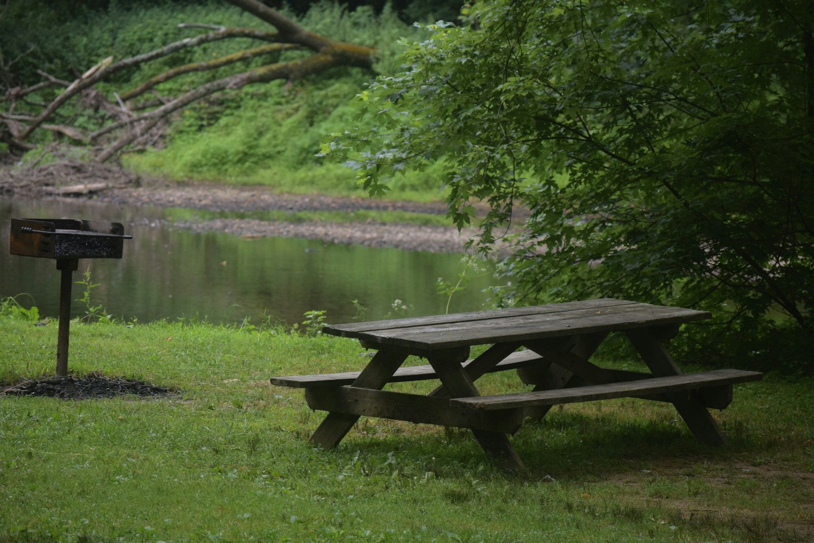 picnic table in a park by the water