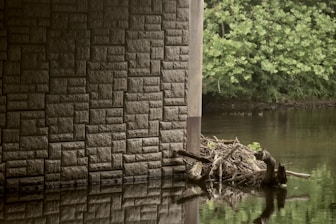 A textured stone wall extends vertically along the left side, reflecting in a tranquil body of water. A pile of driftwood and branches rests at the base of the wall, partially submerged. On the right, dense green foliage lines the riverbank, adding a natural contrast to the man-made structure.