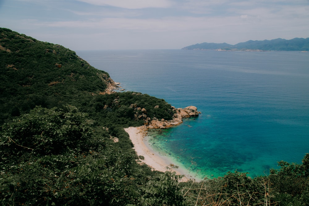 a view of the ocean from a hill