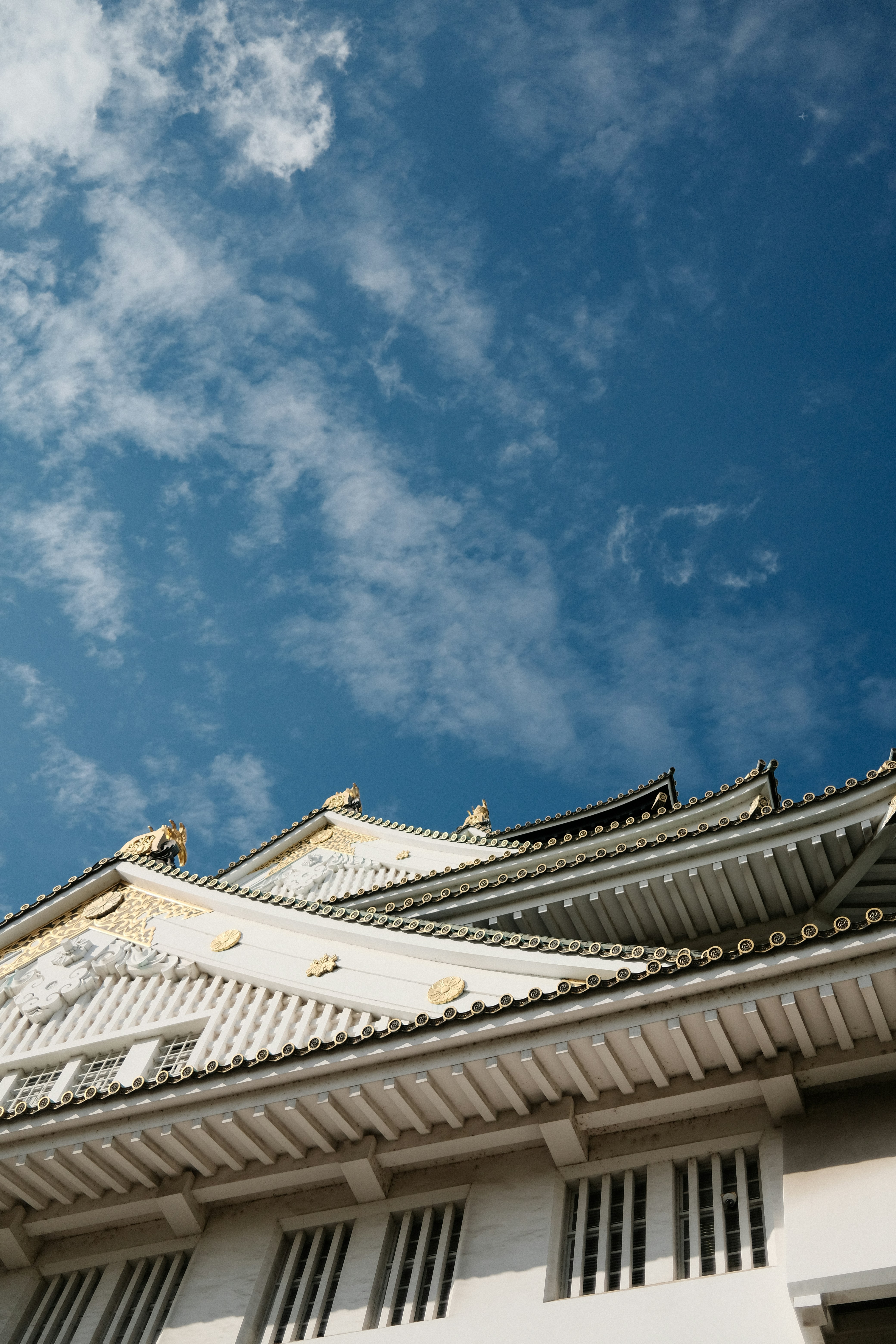 Photo by sdysywjelwsw