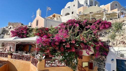 A picturesque scene featuring vibrant bougainvillea cascading down a hillside terrace among charming white and pastel-colored buildings. At the top, a Greek flag flutters in the breeze. Below, there is an outdoor seating area with tables and chairs under a white canopy.