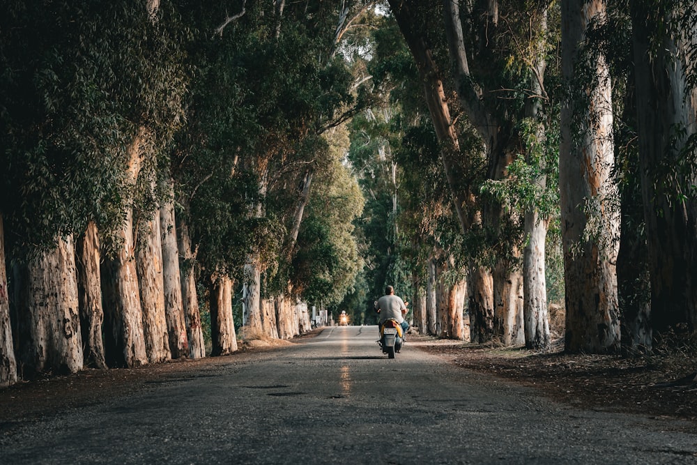 a man riding a motorcycle down a tree lined road