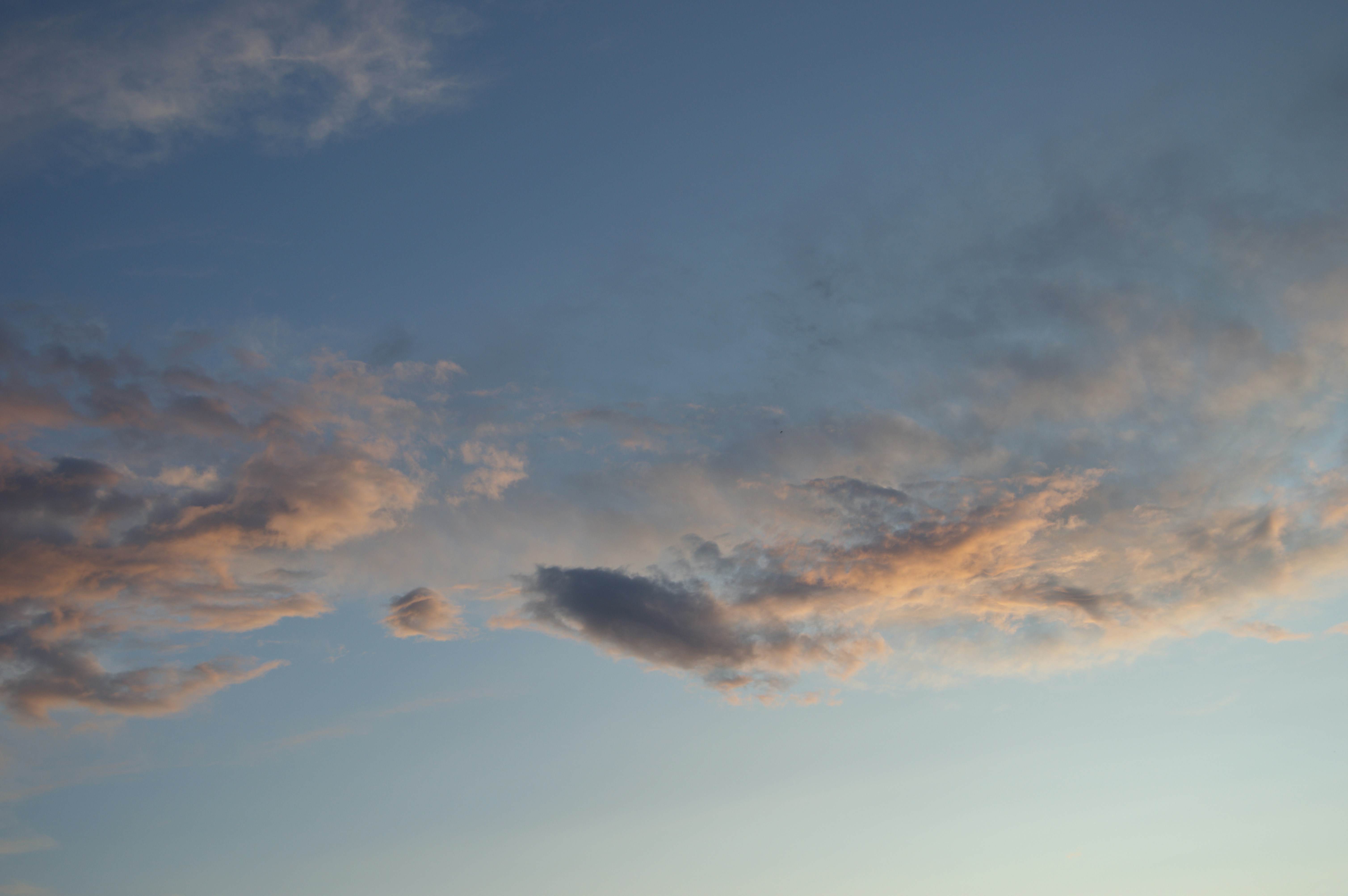 Photo by frosted_vulpes_ferrilata