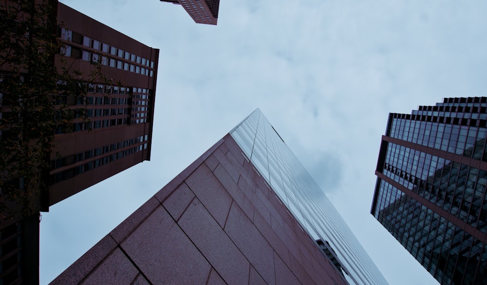 looking up at tall buildings in a city