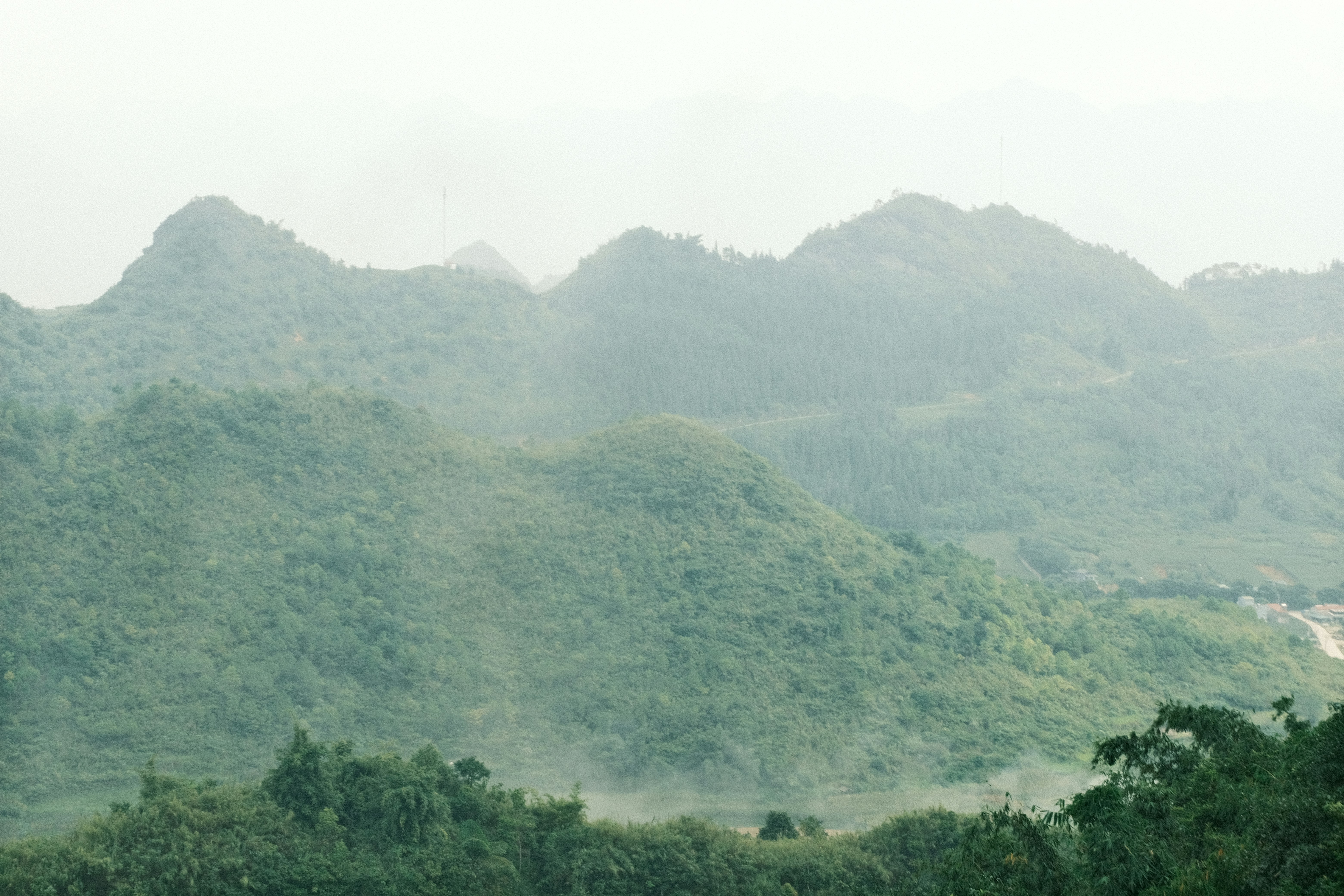 Photo by dvhoang2106