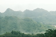 Vibrant green mountains covered in mist, home to diverse plants and wildlife.