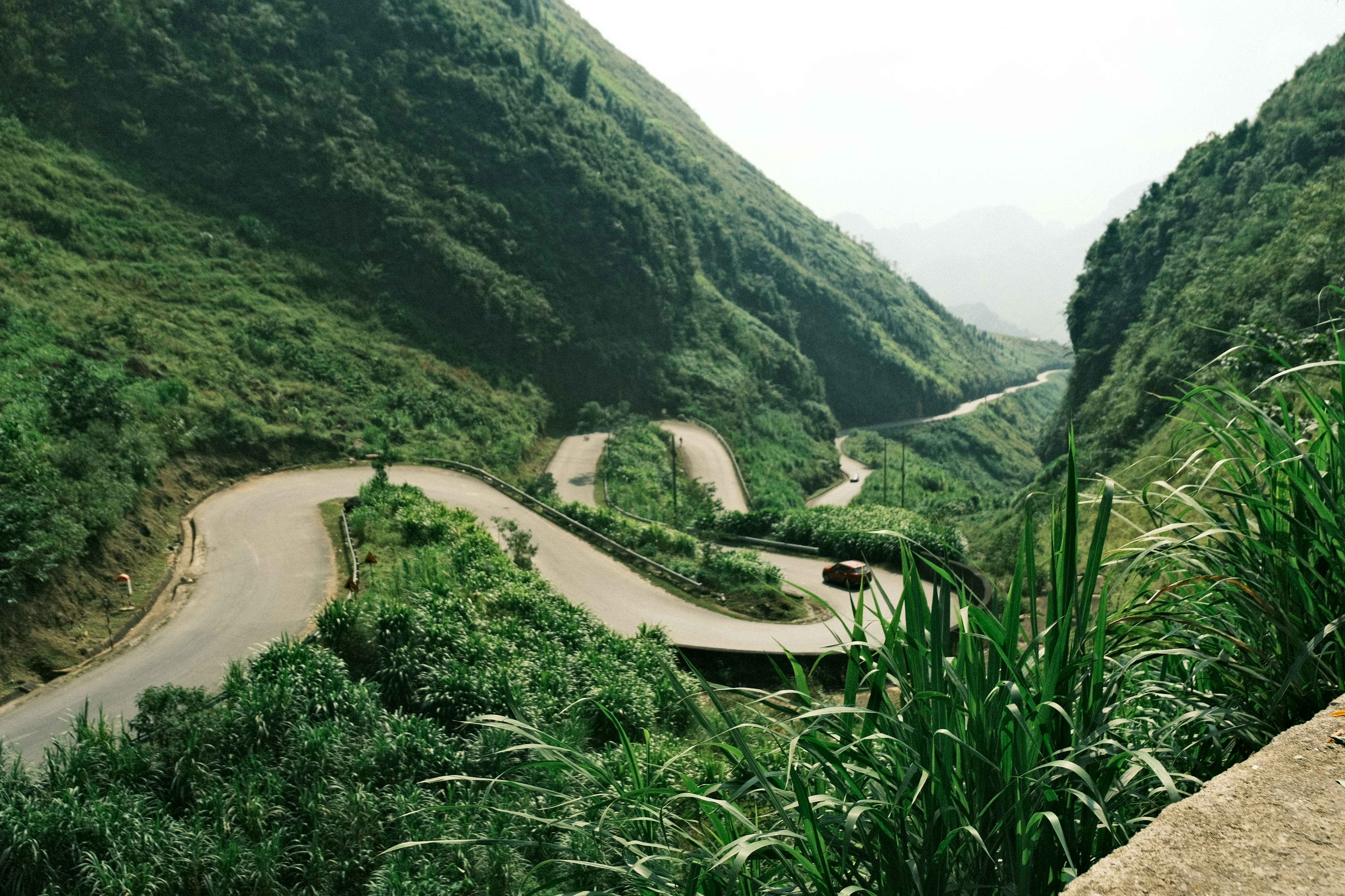 Photo by dvhoang2106