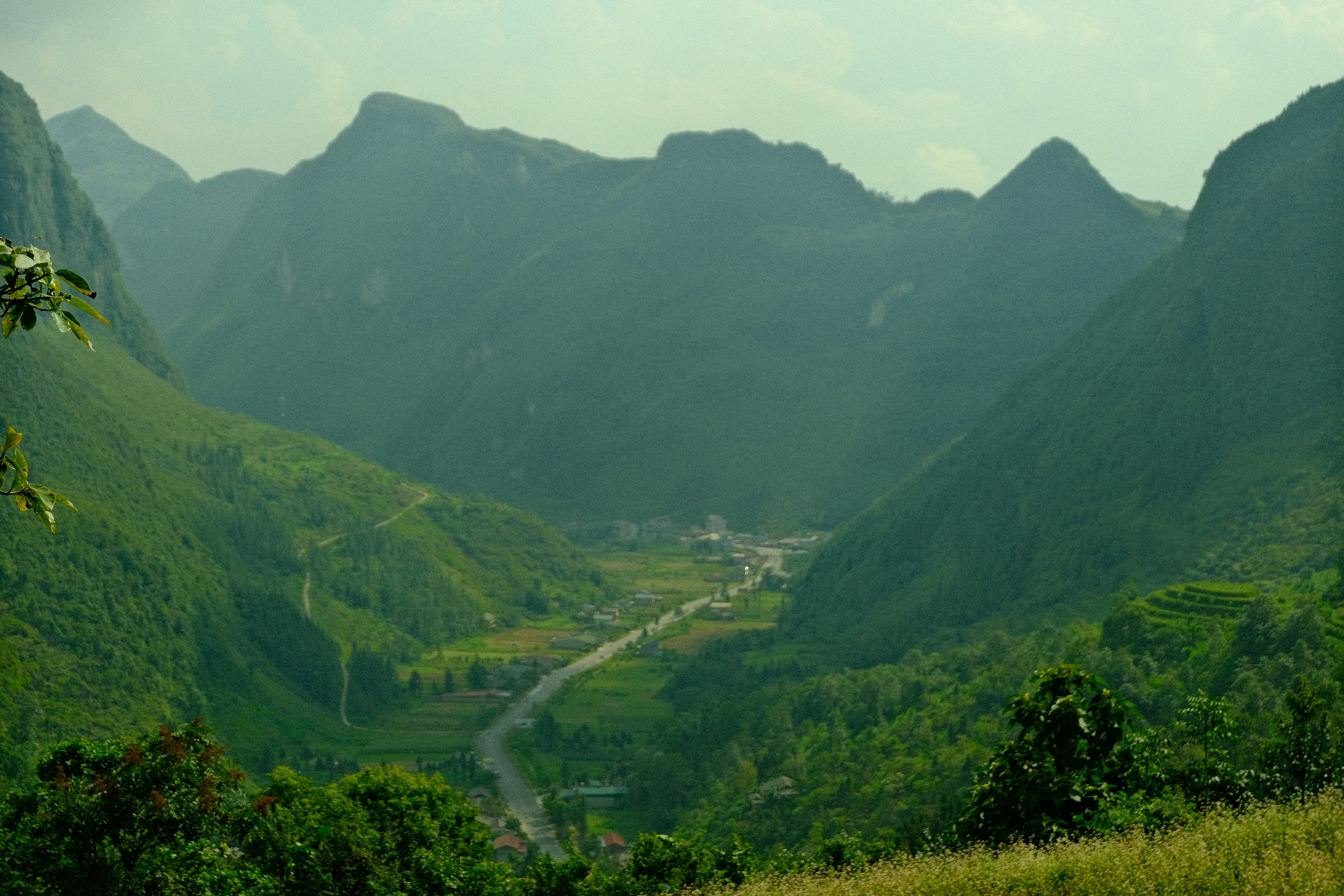 Photo by dvhoang2106