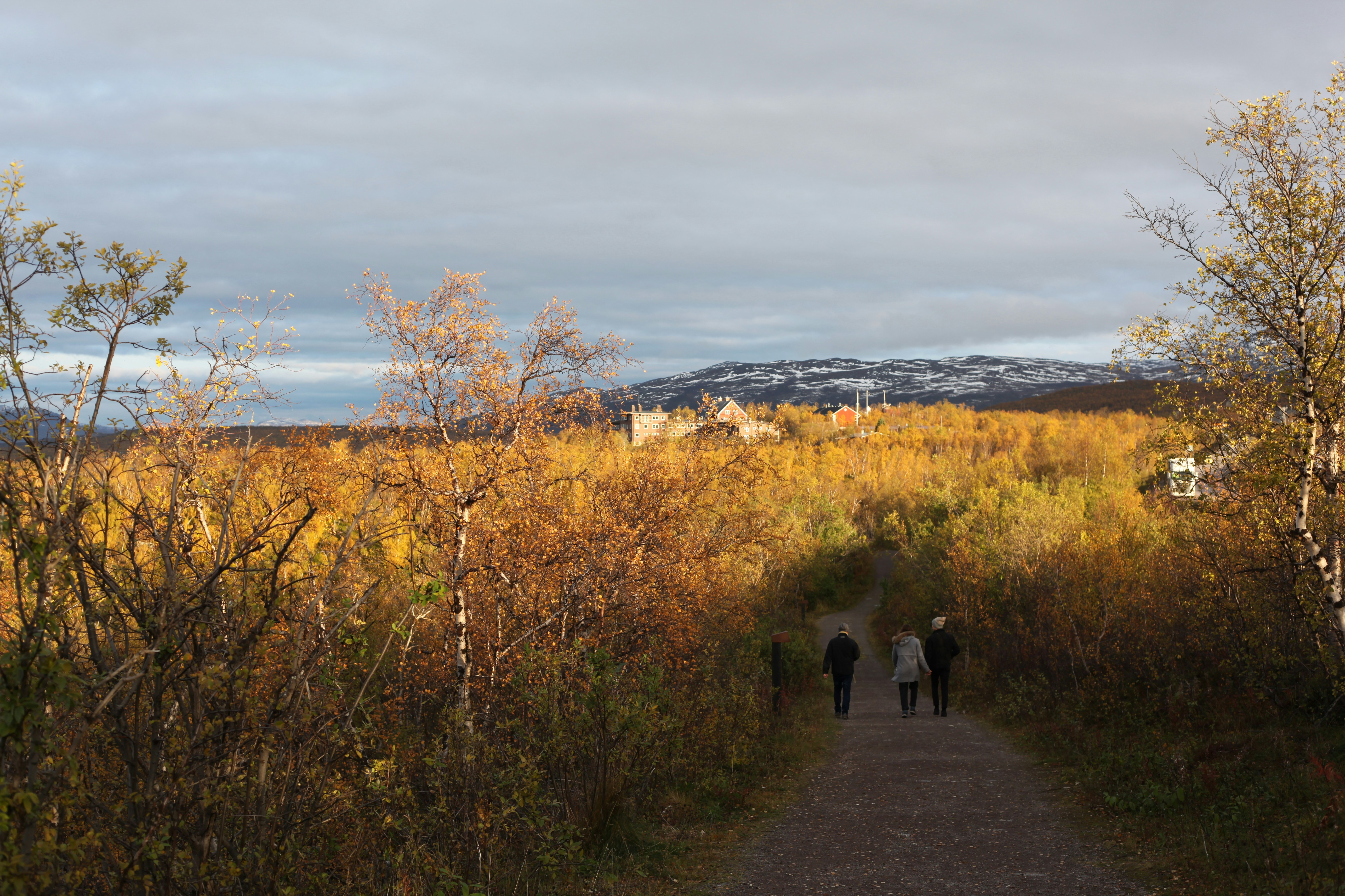 The mountain trail in Abisko National Park in Autumn.