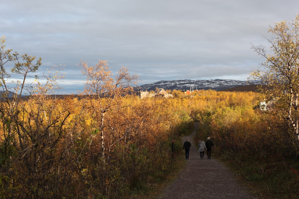 a couple of people walking down a dirt road