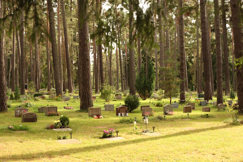 um cemitério com muitas lápides e árvores ao fundo