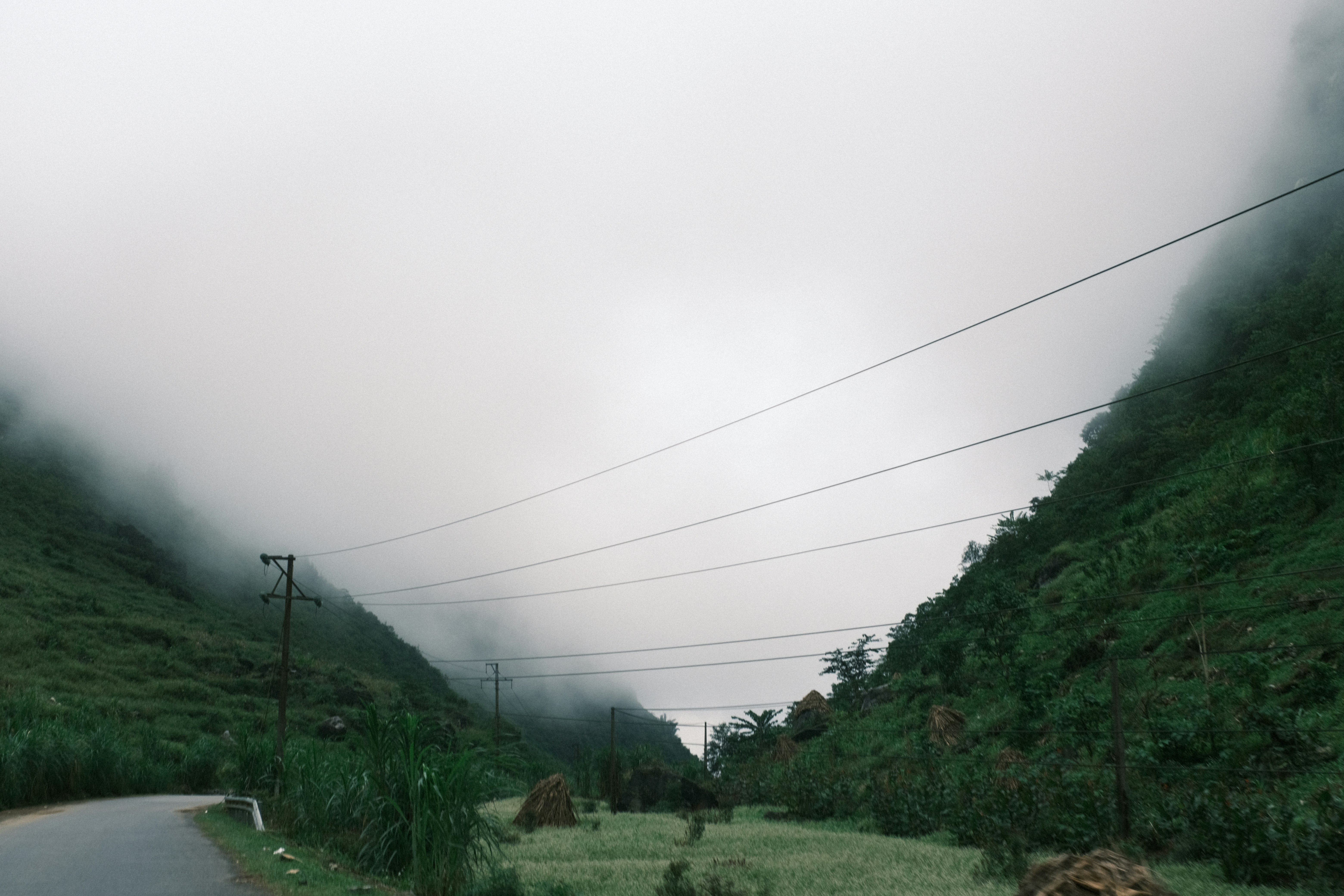 Photo by dvhoang2106