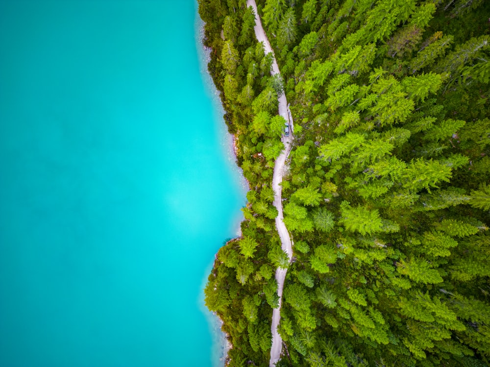 an aerial view of a river running through a lush green forest