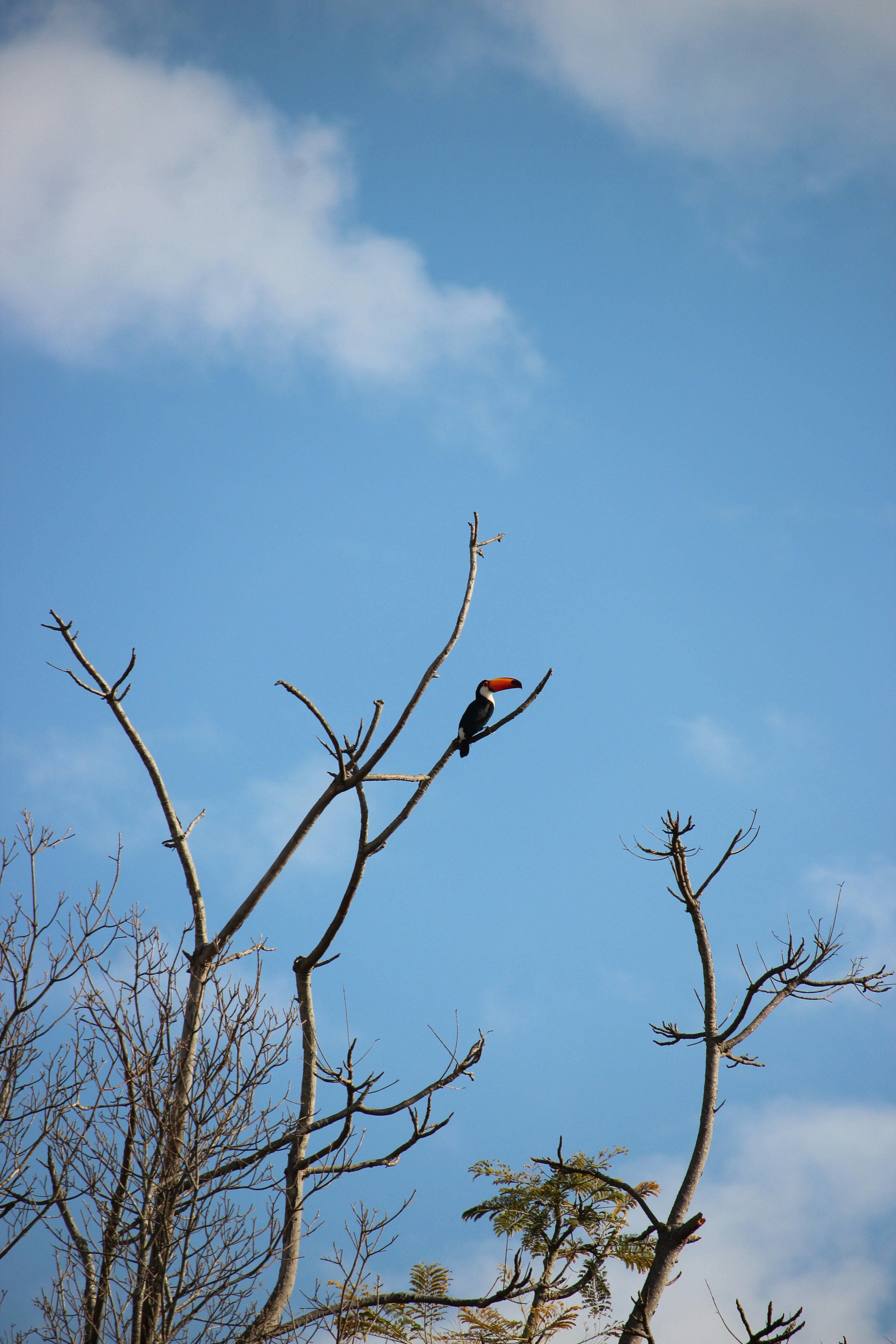 Photo by prosacompoesia