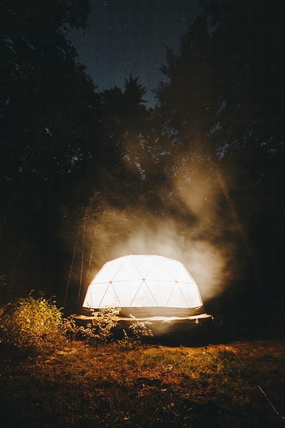 a large white tent sitting in the middle of a forest