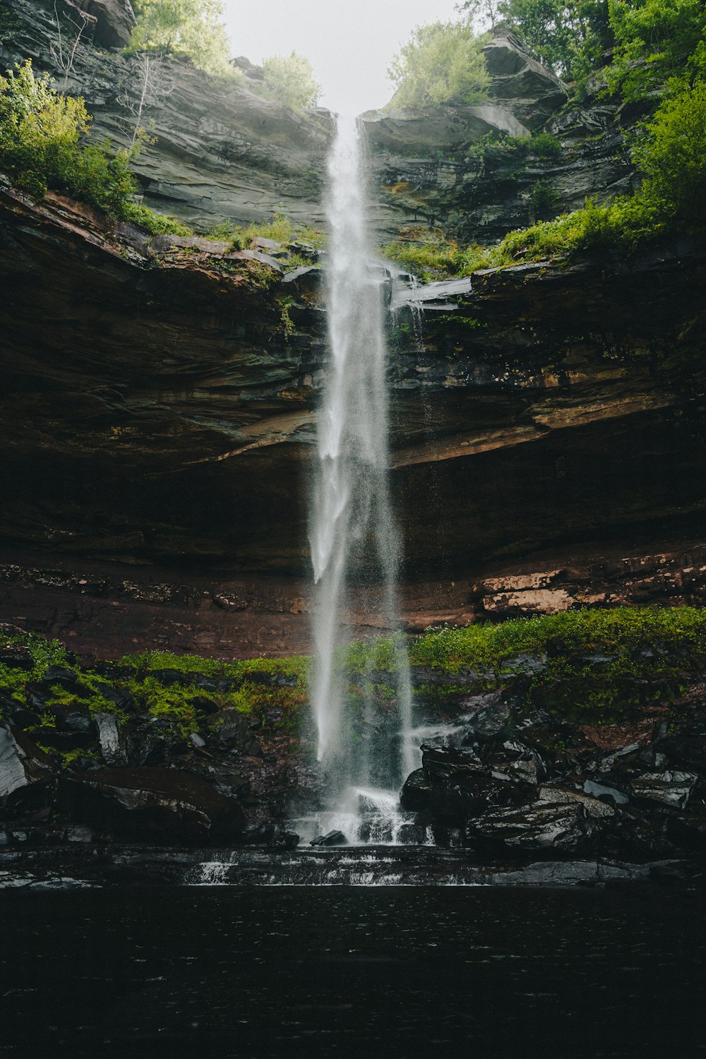 Una grande cascata si trova nel mezzo di una foresta