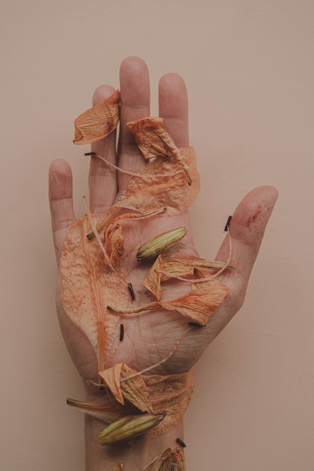 a person's hand with a bunch of leaves on it