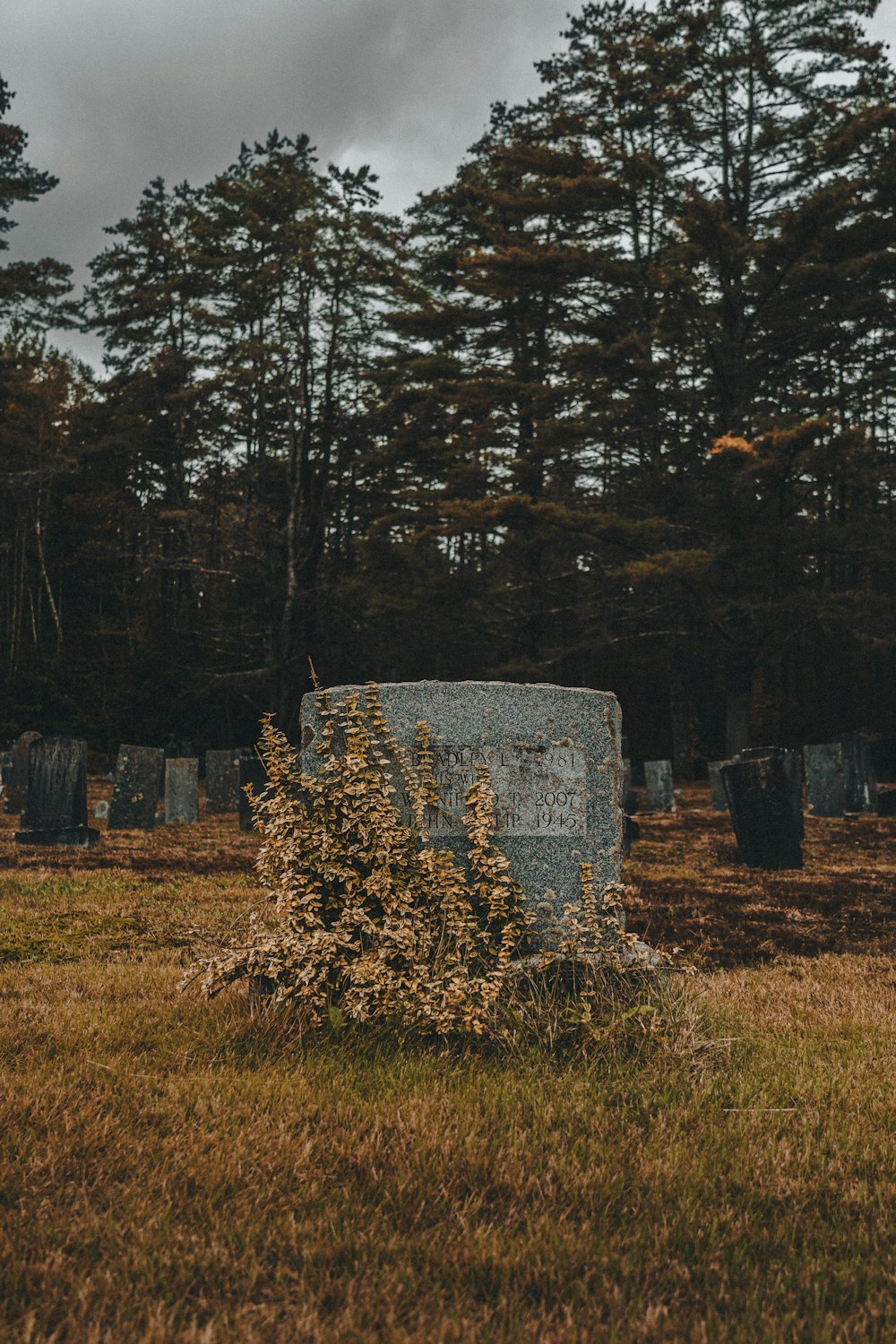 a grave in a field with trees in the background