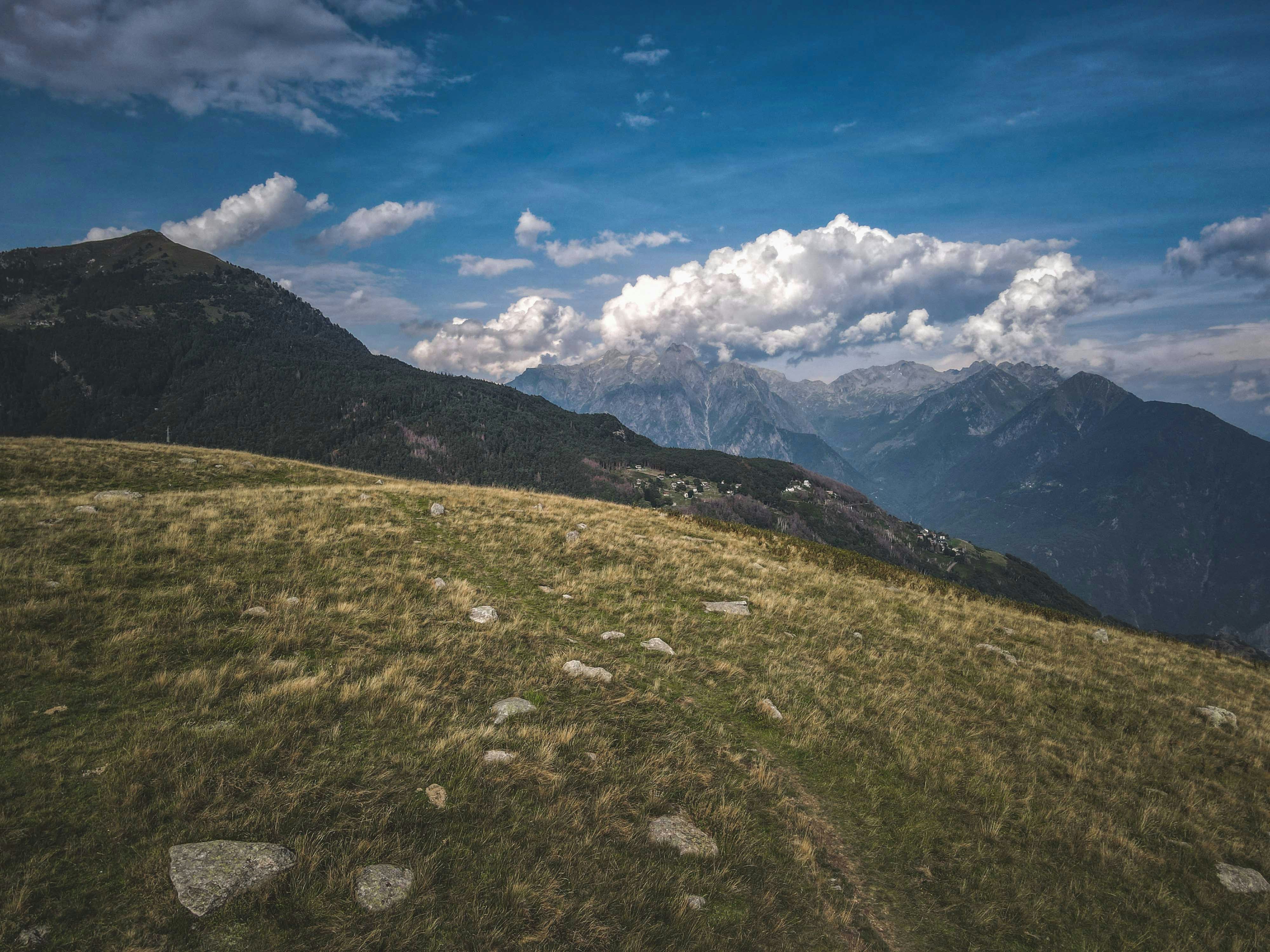 Photo by francesco_ungaro