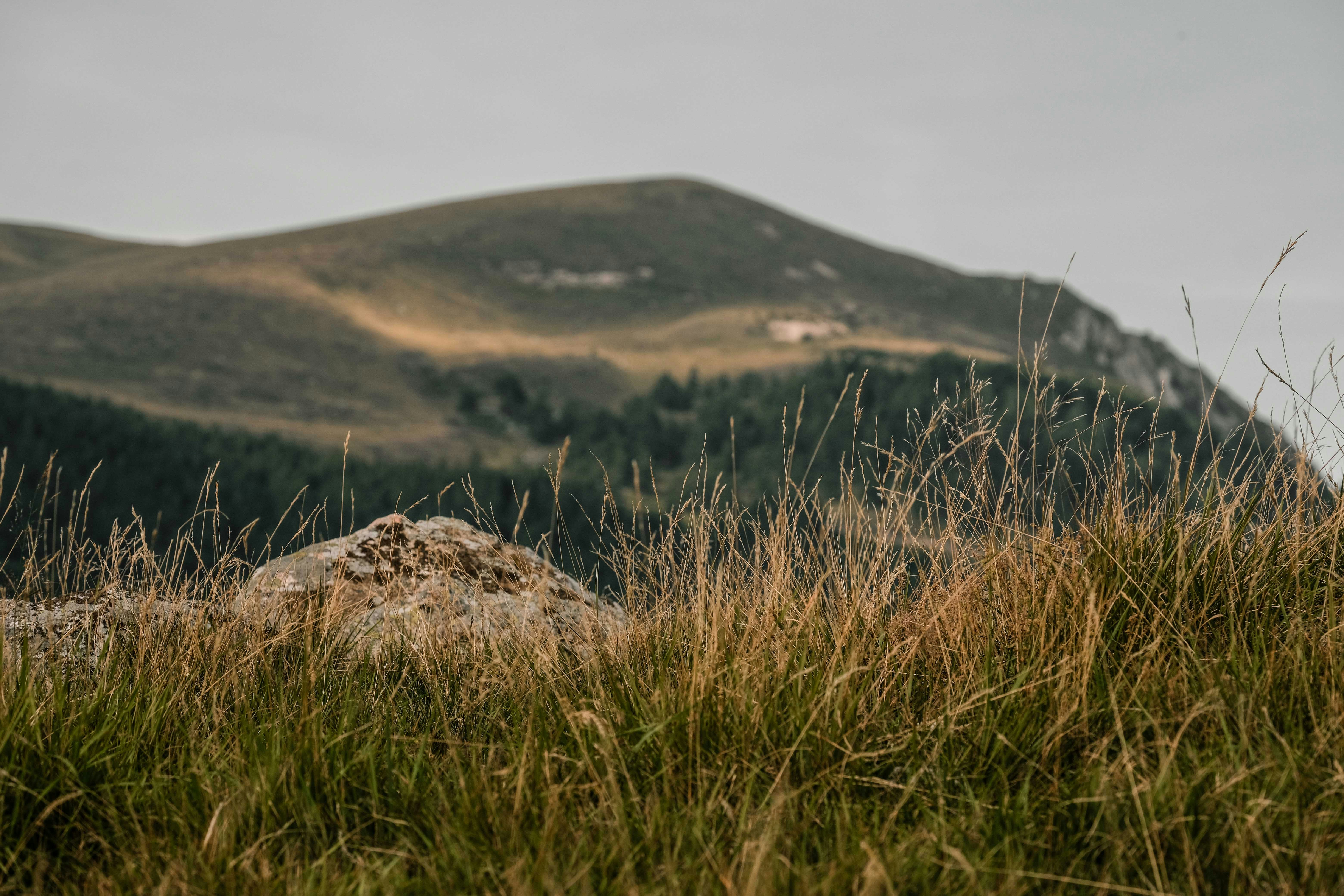 Photo by francesco_ungaro