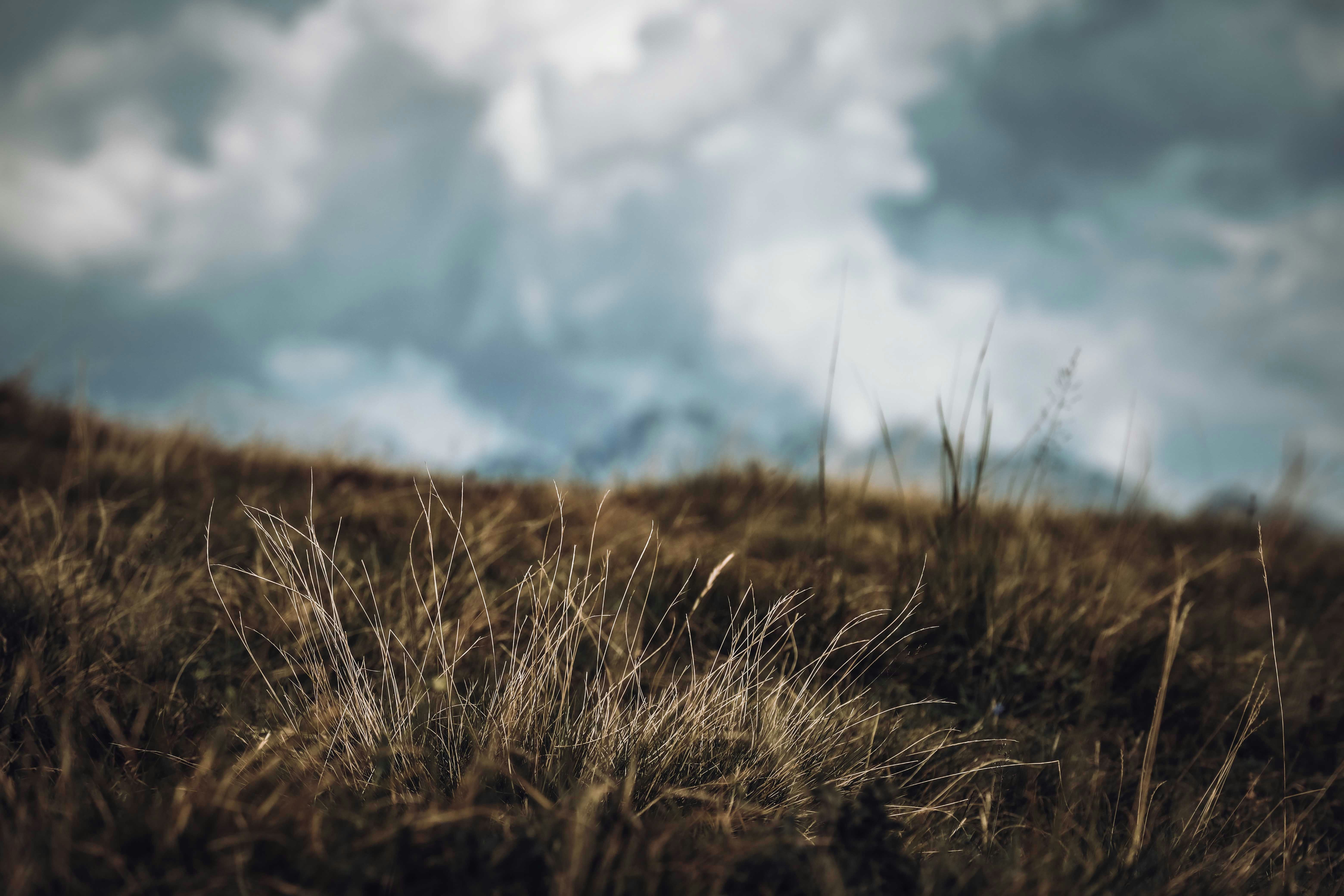 Photo by francesco_ungaro