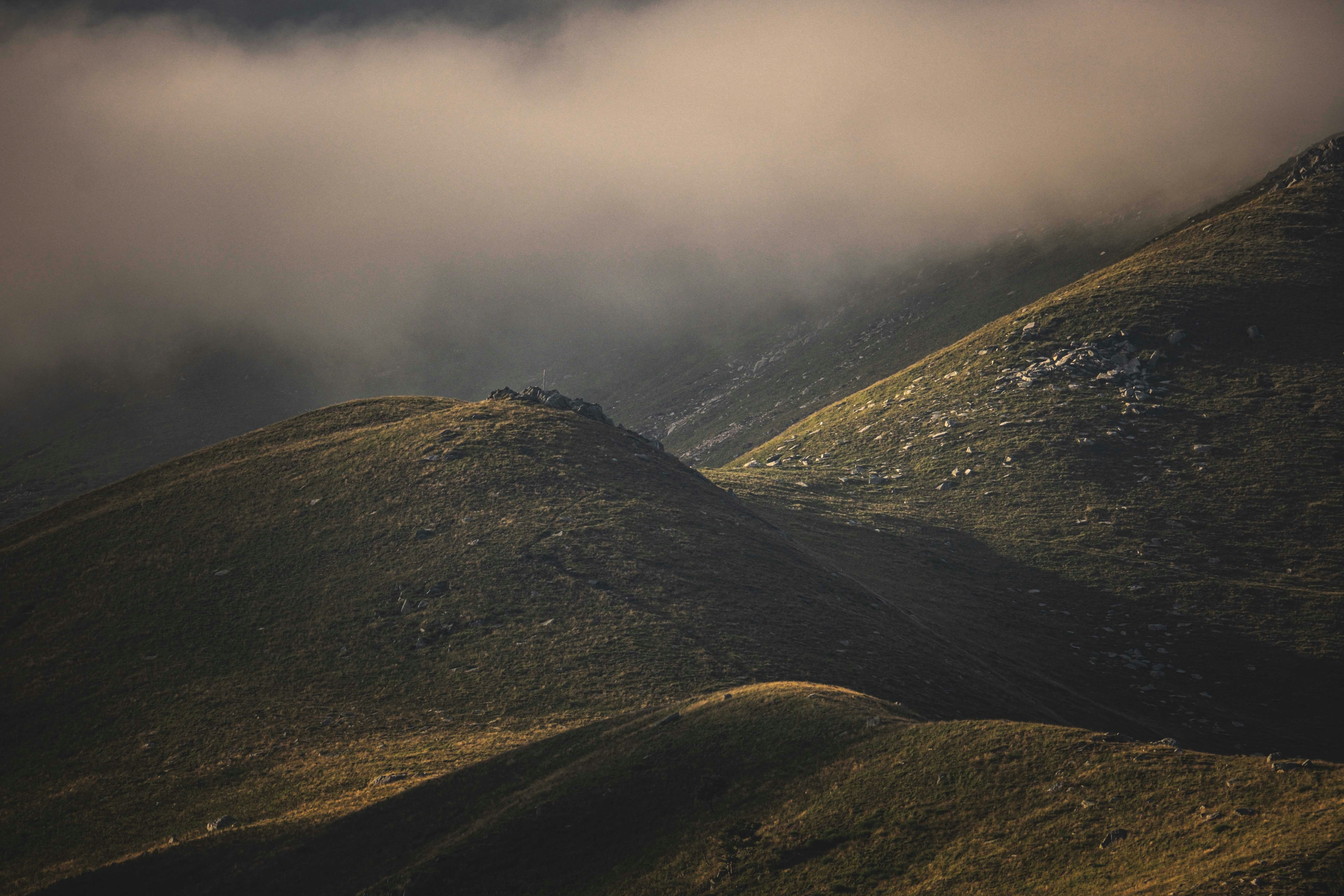 Photo by francesco_ungaro