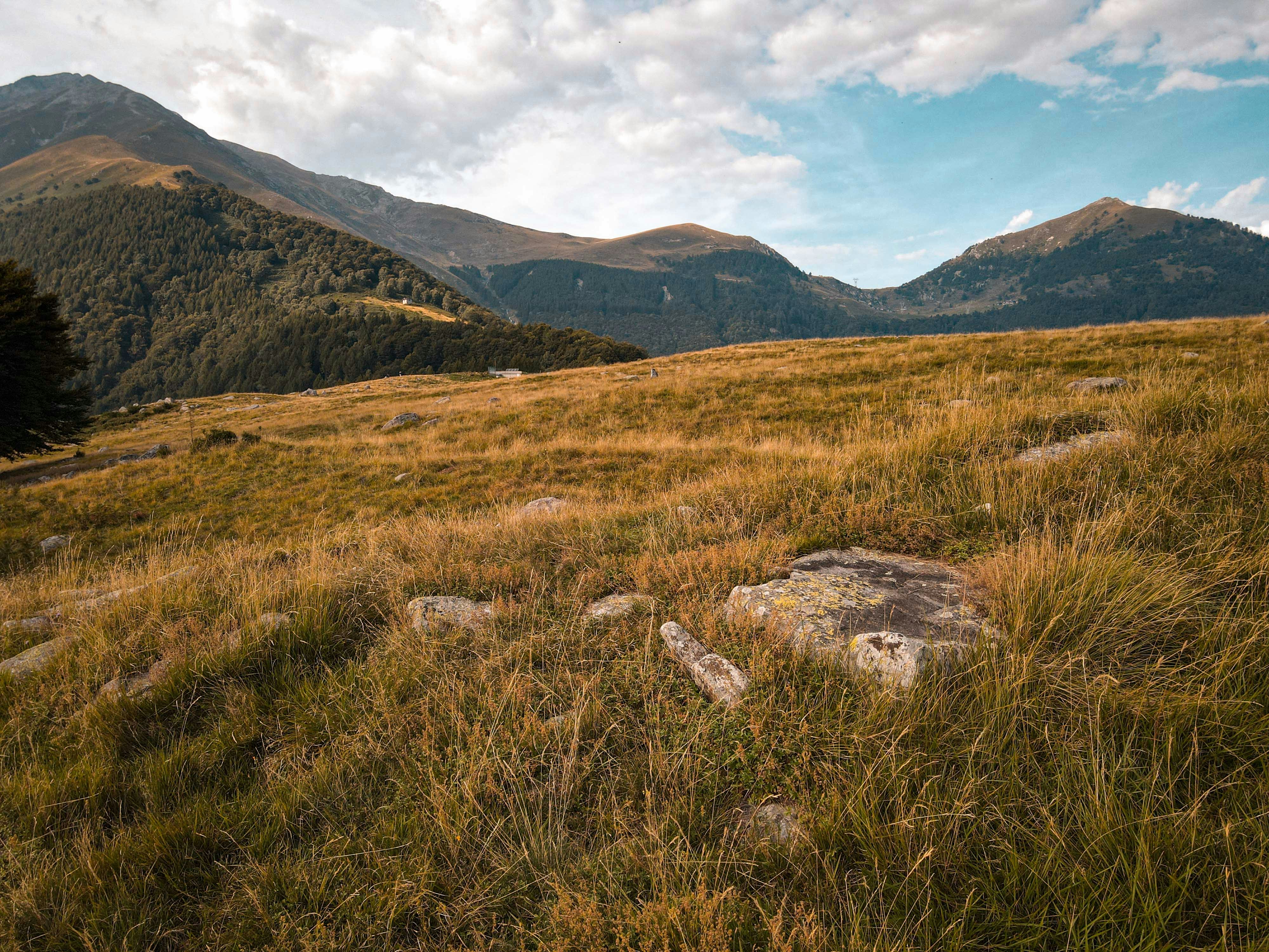 Photo by francesco_ungaro