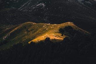 A serene digital landscape artwork highlighting subtle light and shadow play.