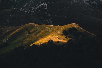 A serene, lush landscape rendered to highlight lighting and shadows in-game.