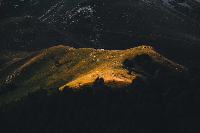 A serene puzzle game moment highlighting beautiful art design and thoughtful game mechanics.