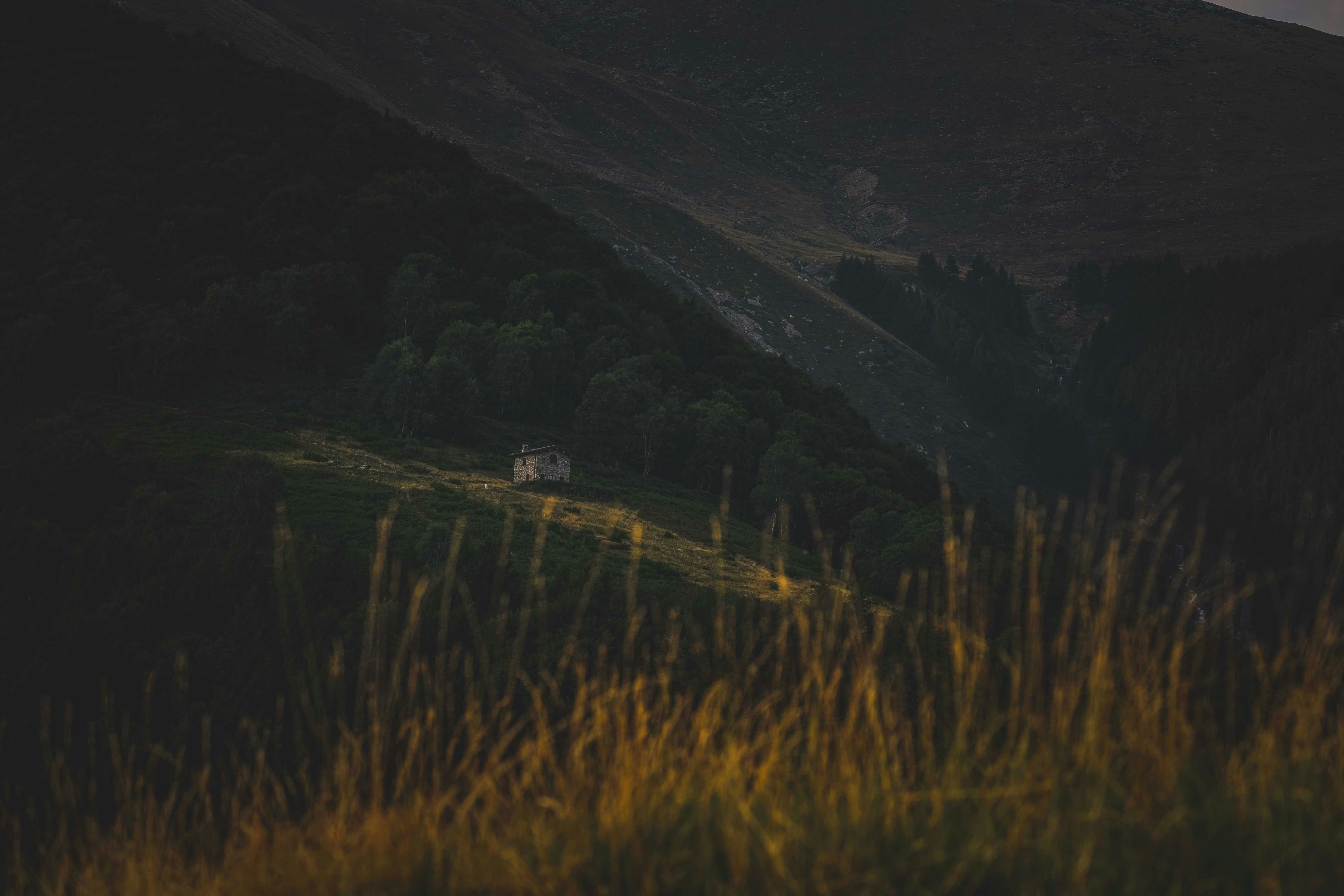 Photo by francesco_ungaro