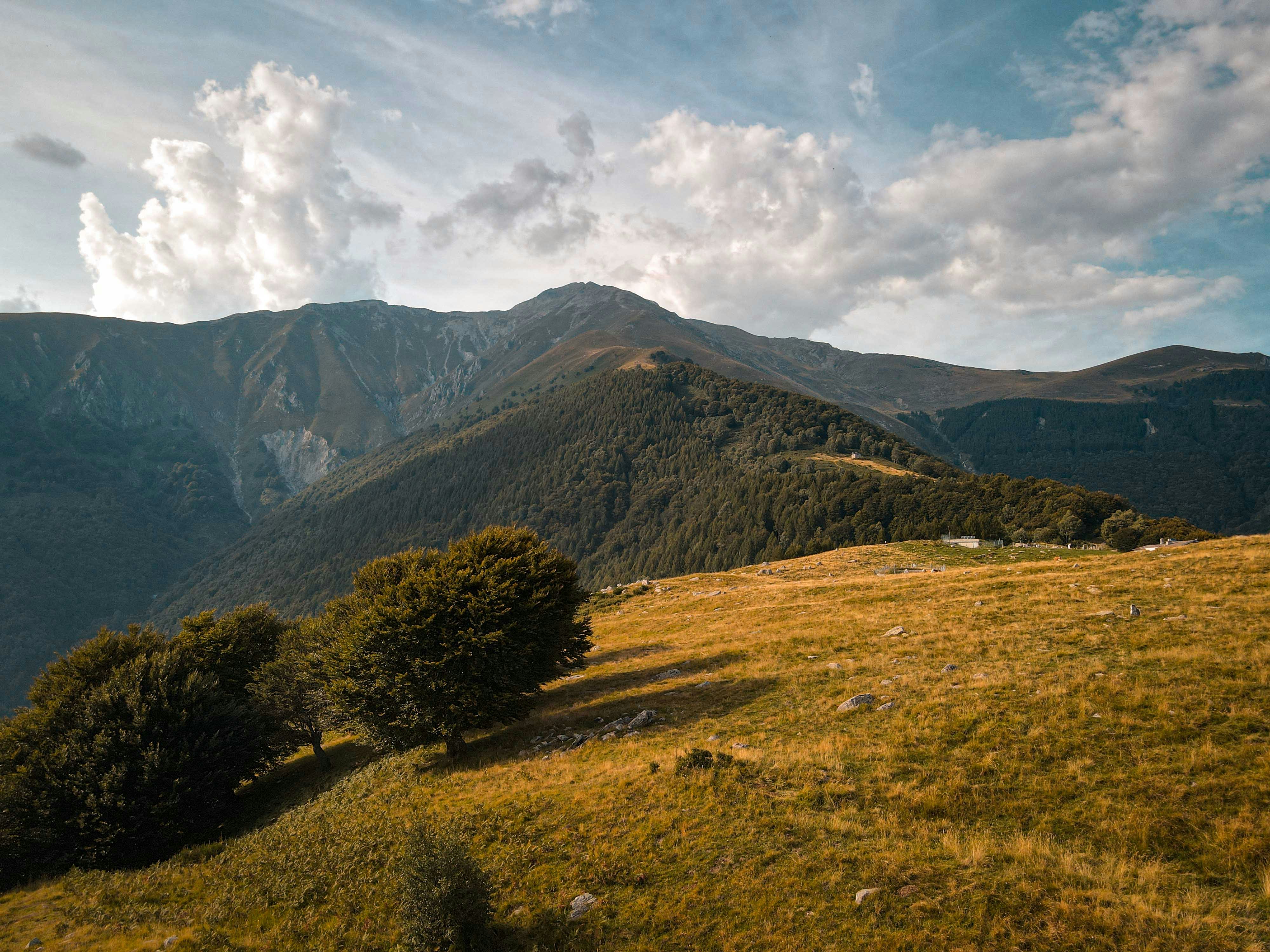 Photo by francesco_ungaro