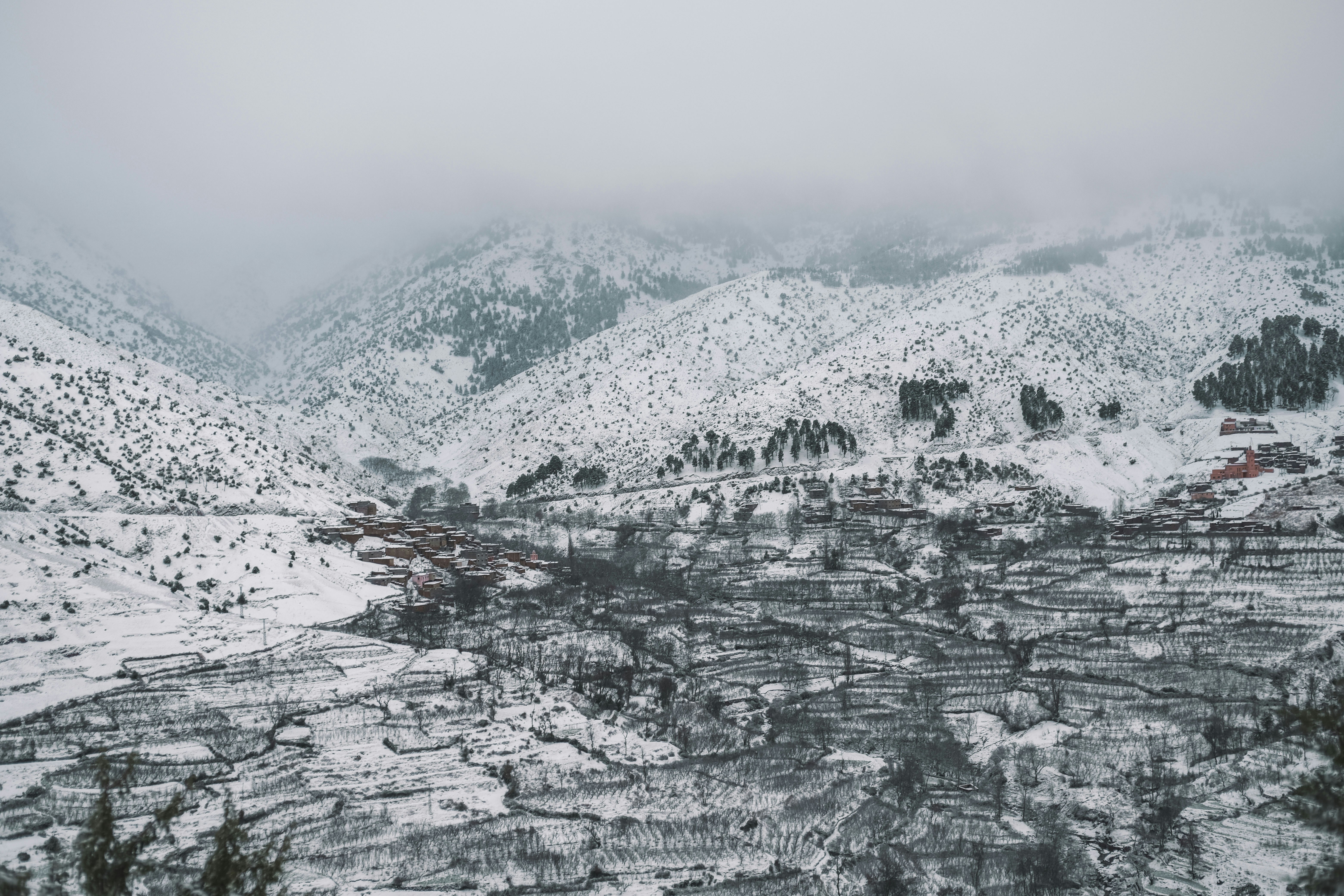 Photo by rachadelasri