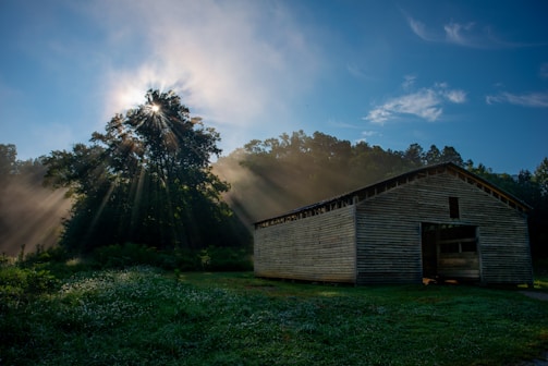 A farmer sharing a heartfelt story during a video interview in a sunlit barn.