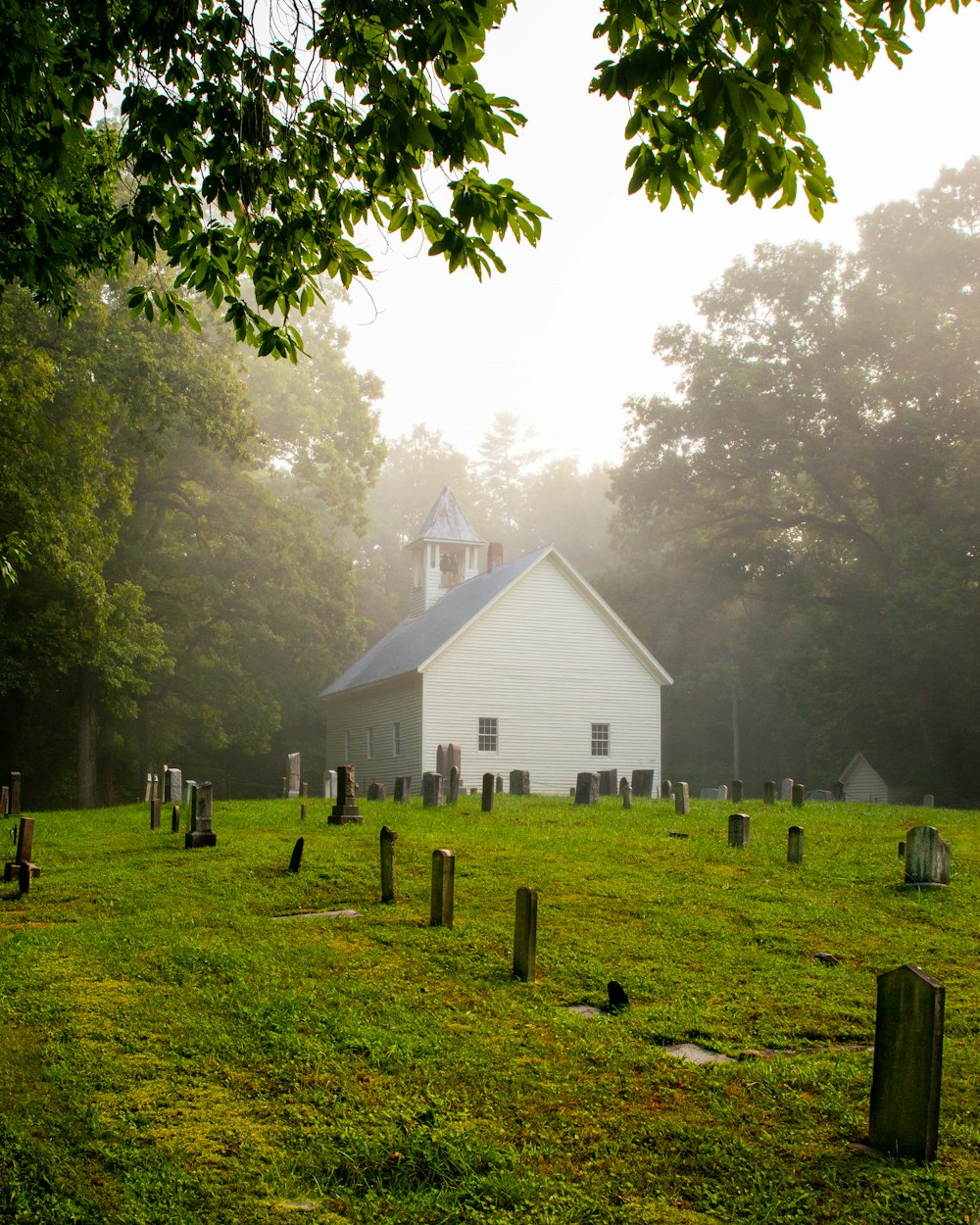 a white church with a steeple surrounded by trees