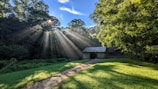 Sunlight filtering through tall trees over a cozy wooden cabin porch.