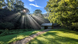 Sunlight filtering through tall trees onto the rustic wooden porch of the cabin