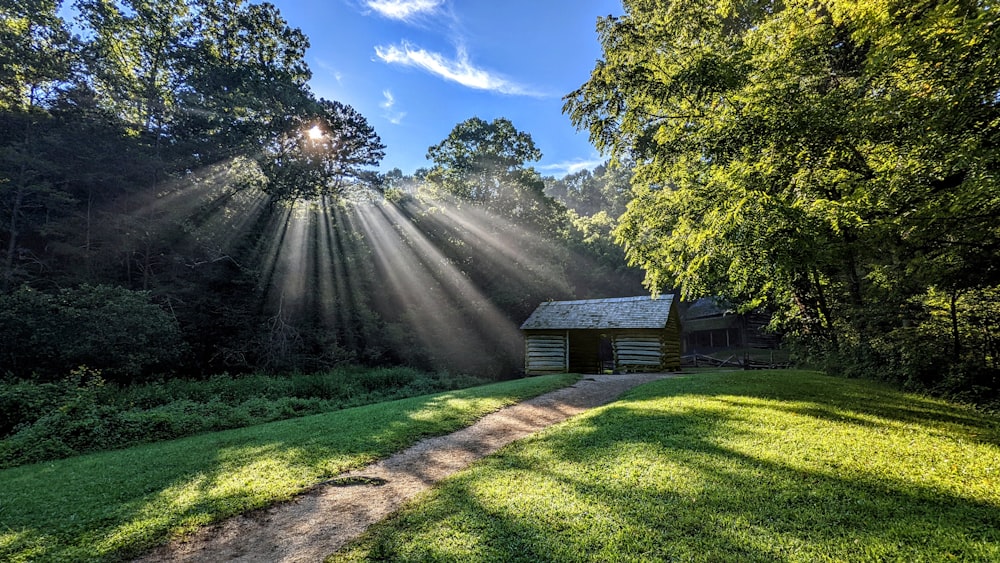 the sun shines through the trees over a small cabin