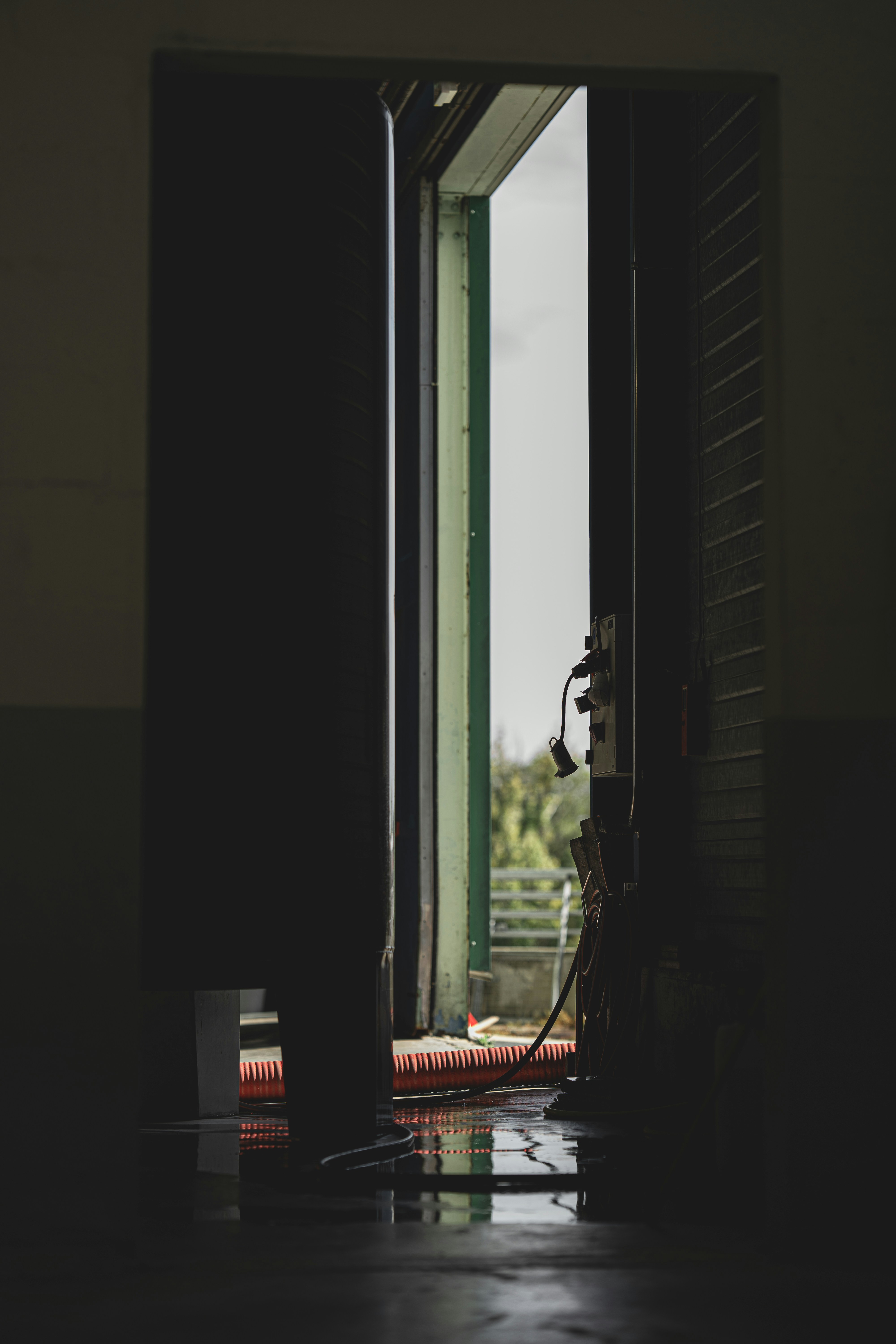 Photo by elmartinbaron