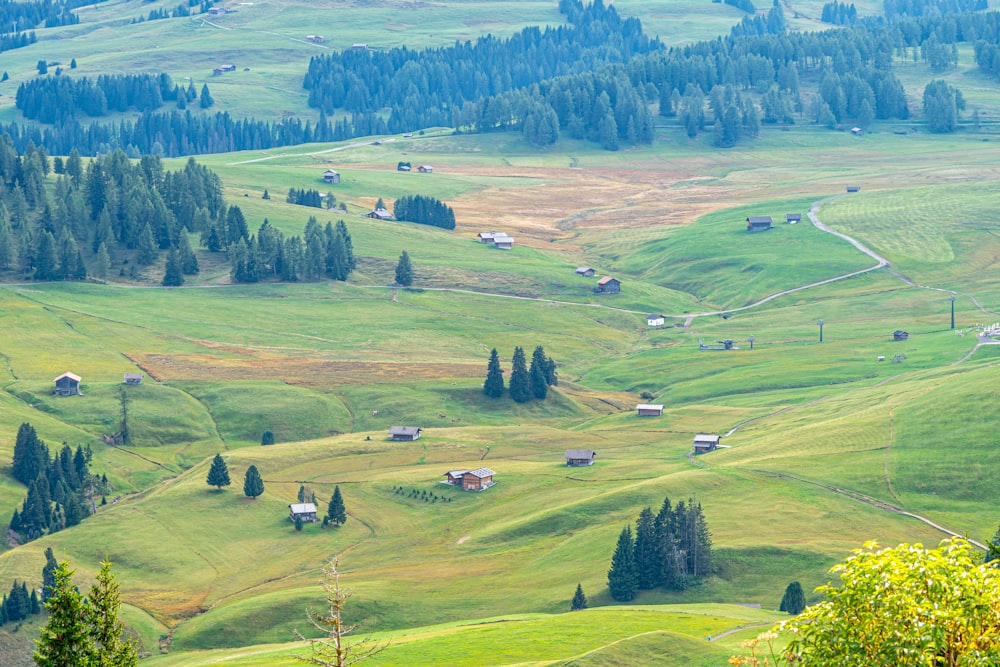 a lush green hillside covered in lots of trees