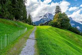 A serene landscape showcasing lush greenery with a winding path leading to a tranquil travel destination.