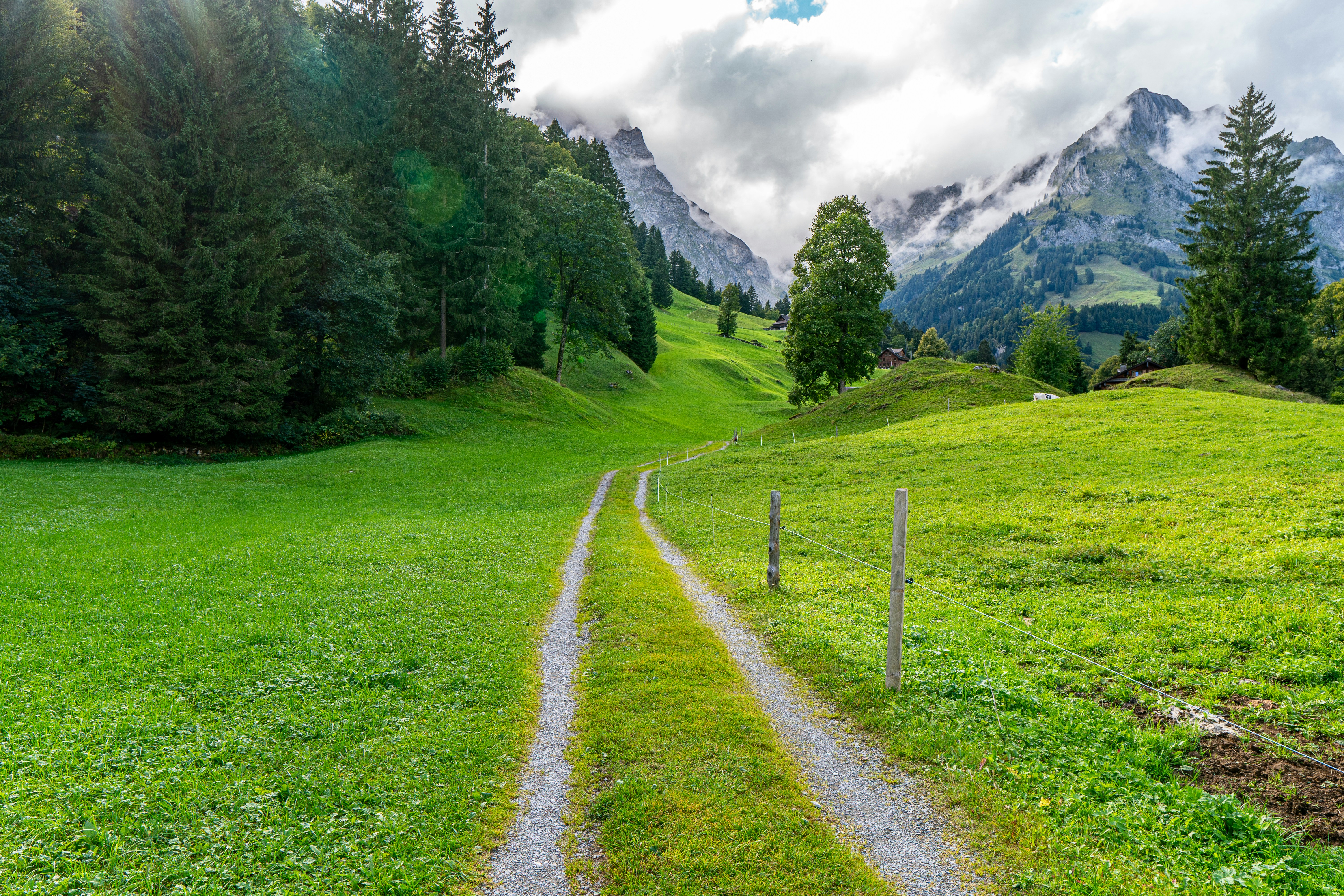 a dirt road going through a lush green field, 