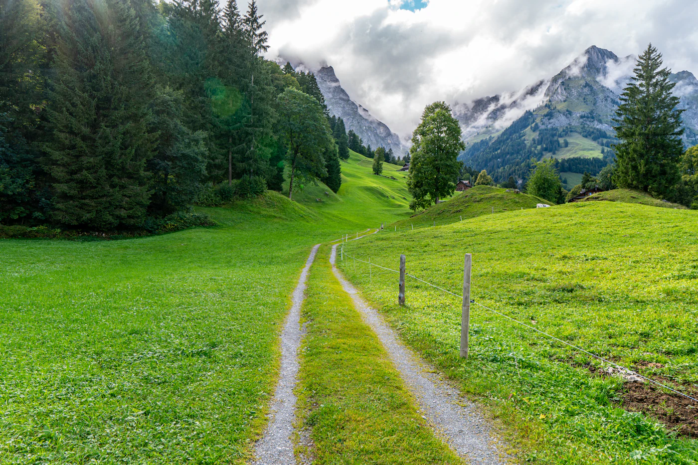 Open meadow path between green edges
